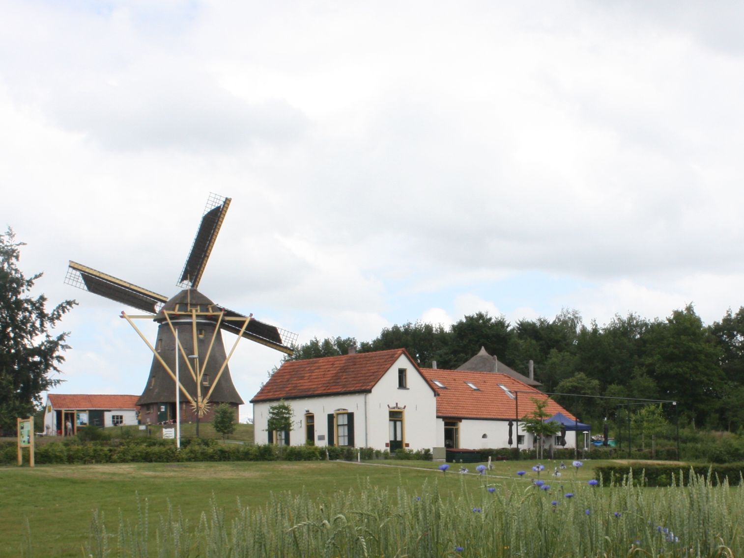 Gerestaureerde molenaarwoning bij Molen de Vlijt in Wapenveld.