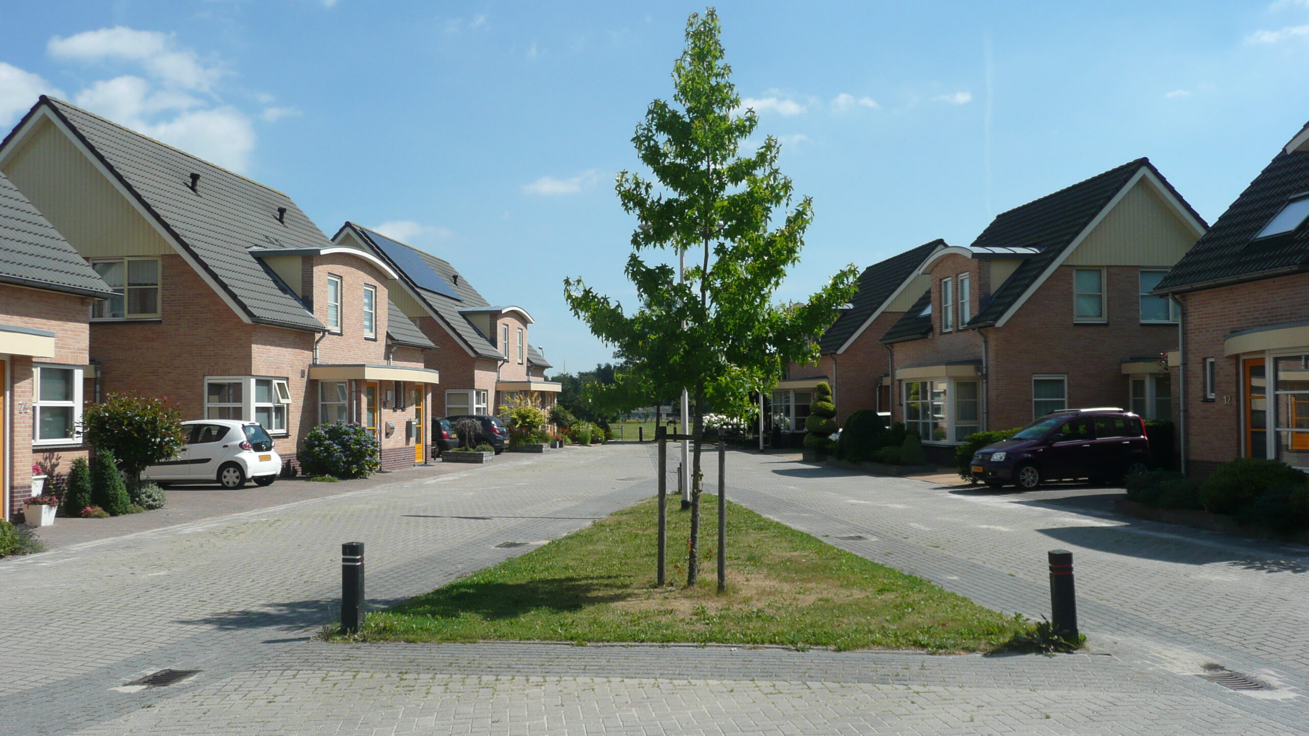 Nieuwbouwproject met vrijstaande woningen en twee-onder-een-kapwoningen.